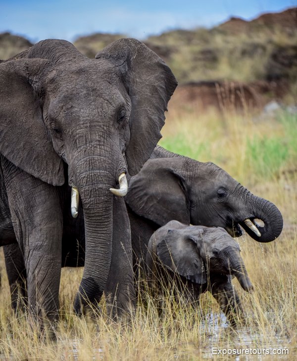 photo-safari-exposuretours-26