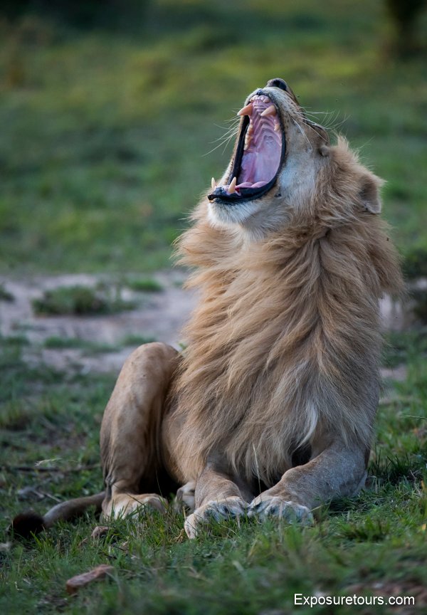 photo-safari-exposuretours-27